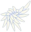 Clef du Belvédère d\'Ilyzaelle