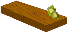 Planche en Châtaignier