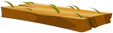 Planche en Bois Ancestral