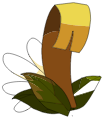 Ecorce du Tynril