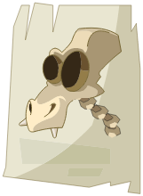 Dragodinde Squelette