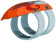 L\'Anneau Dhyn
