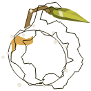 Anobra