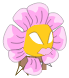 Kaskargo