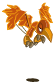 Kwak de Flamme