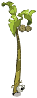 Kokoko