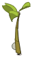 Tikokoko