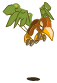 Kwak de Terre