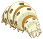 Shin Larve