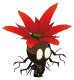 Bulbiflore