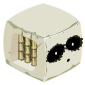 Pandamani
