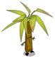 Bambou Ensorcelé