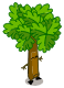 Bombu Ensorcelé