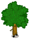 Orme Ensorcelé