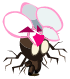 Bulborchidée