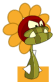 Tournesol Affamé