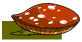 Champolyon le Polyglotte