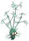 Fantôme Bulbambou