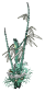 Fantôme Bulbig